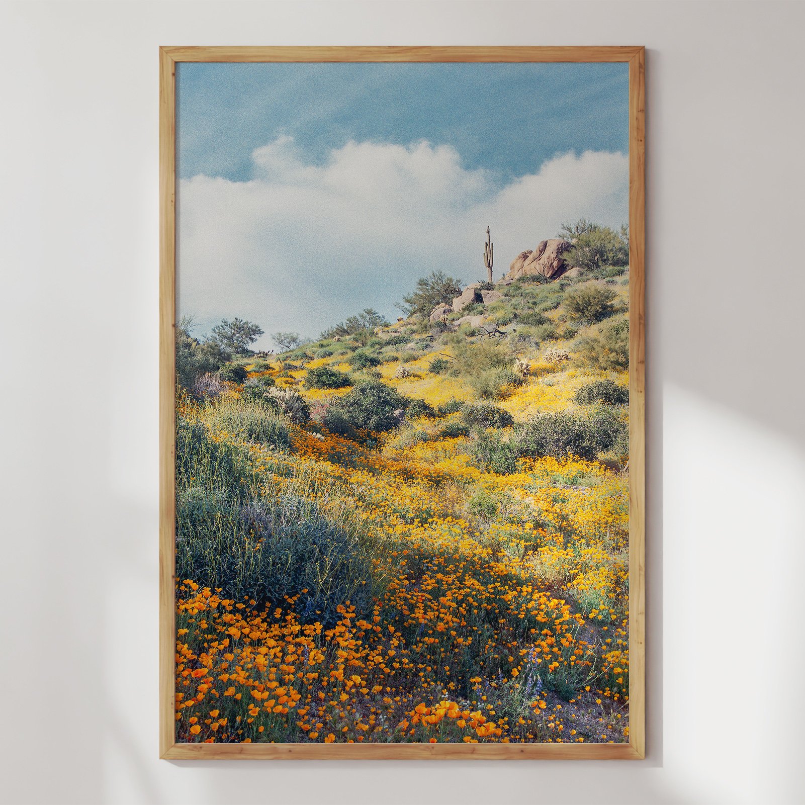 Arizona Poppies Wall Art Western Room Decor Spring Desert